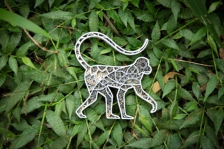 Multilayered ape - ChaNoir