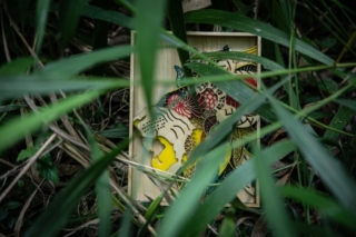 Multilayered lion - Atelier ChaNoir